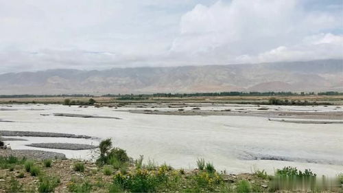 新疆克州阿合奇哈拉布拉克乡天气预报