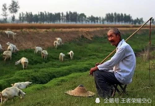 山东老农放羊时捡到 打火石 ,被人大量收购,专家称这是蓝宝石