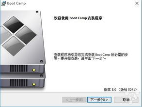 Imac11电脑支持win10吗