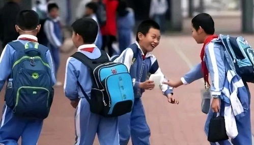 开学时间2024贵州,贵州省2024年建校时间
