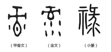 江图带 宁 走近 说文解字 第三课,先民们为了对神明表达敬畏而造的字其实很多