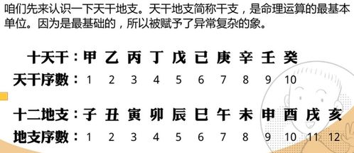 八字基础之一天干地支篇