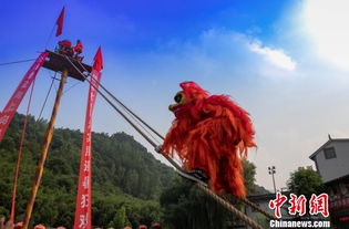 河南13米高台狮王争霸赛 场面惊险刺激 
