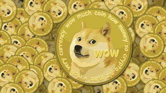 doge币能买吗