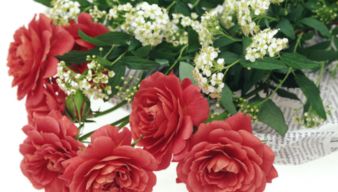 三朵黄玫瑰花语,三朵黄玫瑰的花语：无尽的爱与祝福
