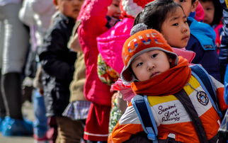 阿笨猫幼儿版故事，开启童年的奇幻之旅，阿笨猫幼儿版故事简短