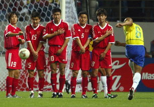 2008年世界杯比赛结果