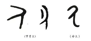 江图带 宁 走近 说文解字 第八课 从汉字看先民们祭祀的种类