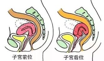 产后恢复得好不好,看这7个指标,不落病根