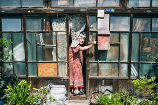 真实的日本 实拍日本乡下和城市街头的普通人
