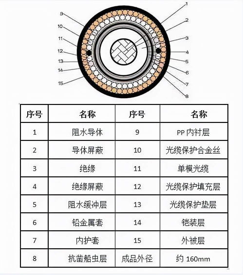 电线如何入海 海底电缆会不会影响海底生物啊