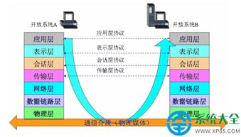 网络协议有什么用 网络协议是什么 有什么用 应用技巧 系统大全 