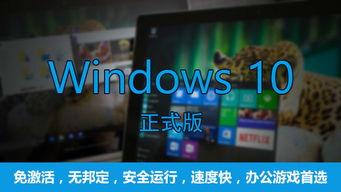 windows10专业版64位