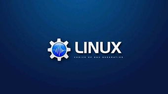 linux中的文件有哪些类型,linux系统中的文件可分为