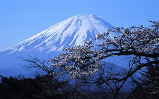 日本最 心痛 的火山 属日本领土,每年却要缴纳高额租金