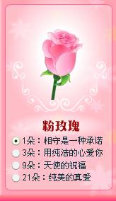 你们谁知道，三朵粉色玫瑰花什么意思啊？你们？