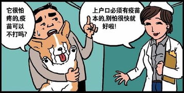 为什么注射狂犬疫苗期间不能喝咖啡,真的喝了会怎么样 