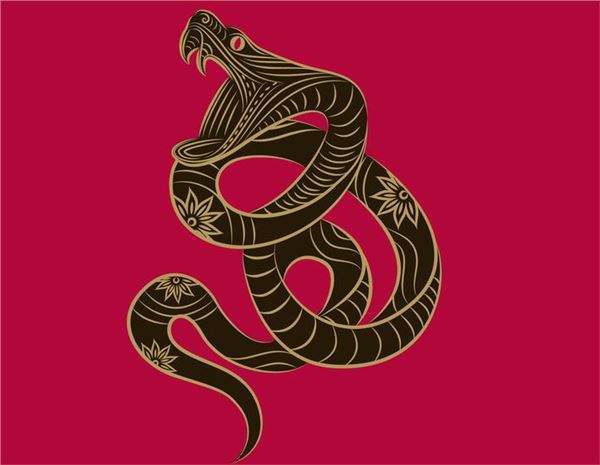 大金蛇 农历几月出生,年前财神显灵,红包不断,喜事多,顺利翻身