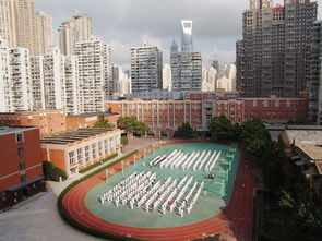 上海商贸旅游学校贴吧,上海商贸旅游学校：梦想与奋斗的摇篮，成就辉煌人生的开端！