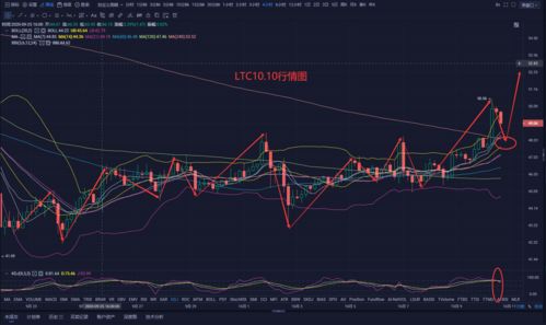 狗币今日行情k线 狗币今日行情k线 生态