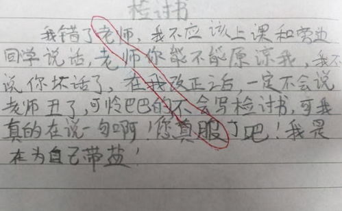 嘲讽老师的检讨书