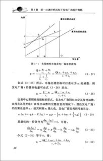 毕业论文,电力,相关,市场