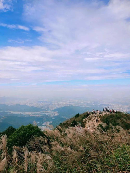 五一5天假适合带孩子去哪玩