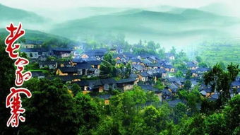 余8位 12.29 1.1邂逅中国最美丽的小城