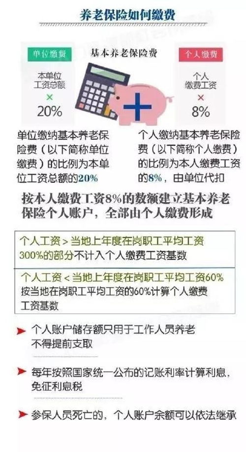 宁德市事业单位养老保险费2022年事业单位考试宁德市怎么没通知