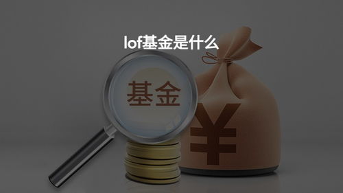 在网上怎样查询基金份额？