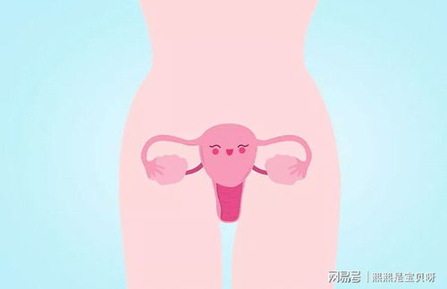 AMH低会影响怀孕吗？还能做试管婴儿吗？
