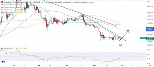 SHIB币行情,shib币行情最新价格走势图