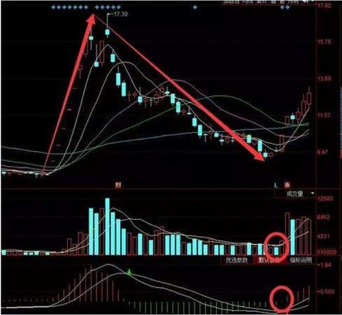 为什么说股价没有成交量支持就要下跌？