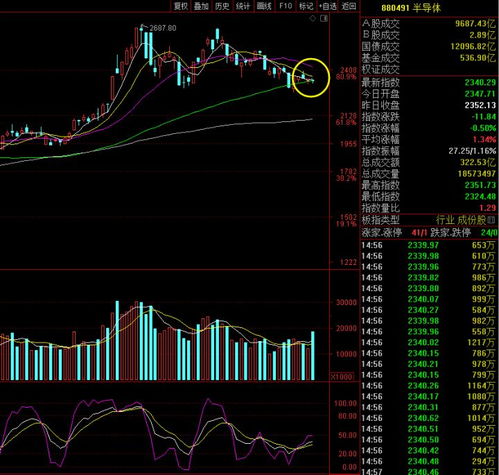 高管增持股三个月内是不是不准涨