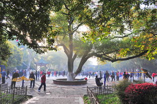 南昌人民公园：城市绿肺，休闲胜地