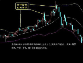 股票送配方案出来以后什么时候实施