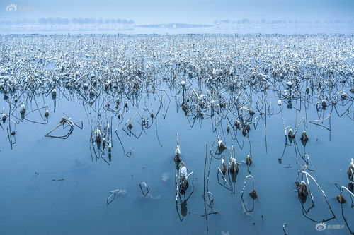 关于杭州的西湖的诗句
