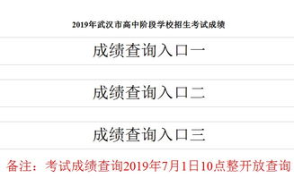 武汉招考网中考查分 2019年湖北武汉中考成绩查询入口已开通 