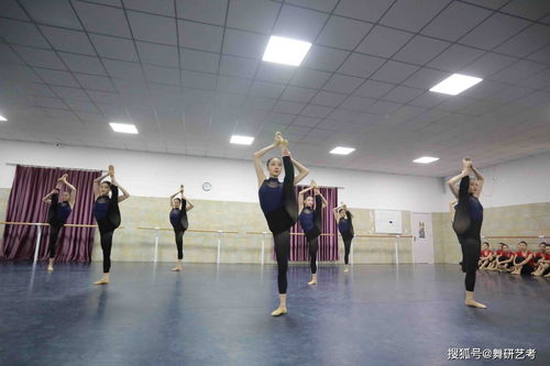 高考艺考舞蹈种类探秘舞蹈艺考的魅力与挑战
