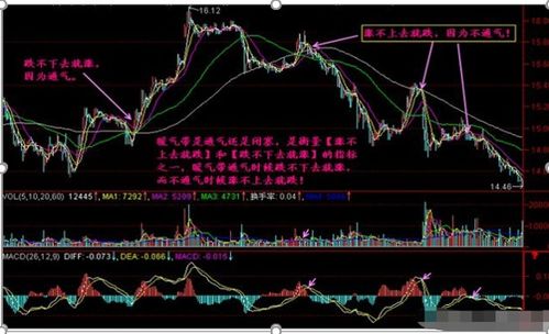 中国股市 股民最好的休息,不是空仓,而是 一辈子死扛一只股 ,永不满仓,这是我对大家最真诚的忠告