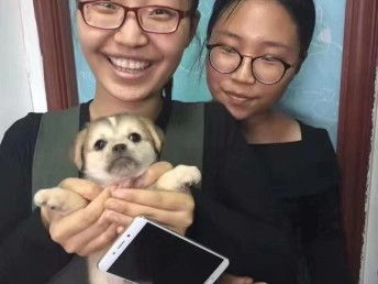 图 上海浦东区流浪猫救助领养中心 上海宠物狗 