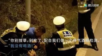 酒驾脱光衣服吃草装大款交警不抓你 做梦 春节谁劝酒转给他看