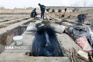 伊朗流浪汉住郊外墓穴 照片传出后震惊总统