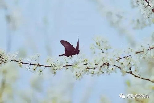 表情 二十四节气的由来,最诗意的解读 腾讯新闻 表情 