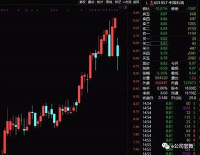 维持DAI价格稳定,支持价格和保护价格的区别