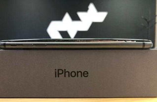 库克终于醒悟 苹果或推廉价版iPhoneX,价格太感人 