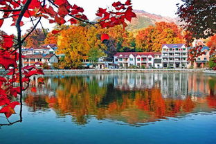 2018北京红叶最佳观赏景点地址 门票 交通 停车信息(金峨村免费停车场)