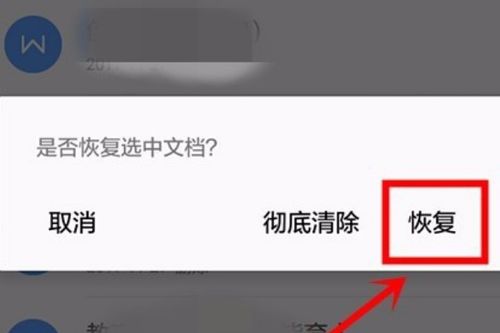 wps删除出错怎么返回(wps删除错误怎么恢复)(wps误删怎么办)