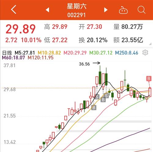 基金会不会像股票一样礼拜六 日 停盘