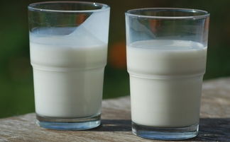 感冒能喝牛奶吗，感冒了能喝纯牛奶吗